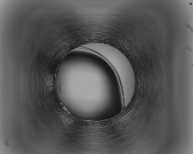 X0000091960818200709061058