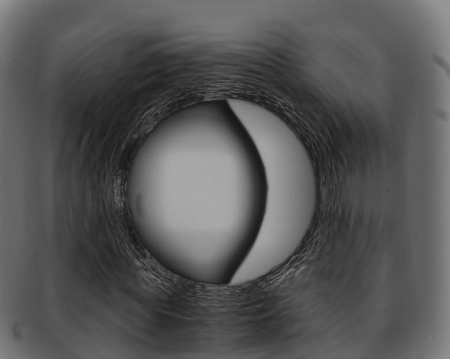 X0000091960819200709061058