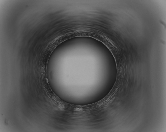 X0000091960821200709061058