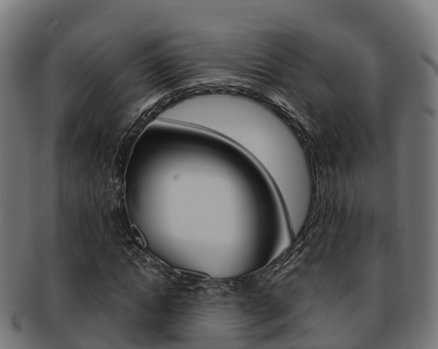 X0000091960822200709061058