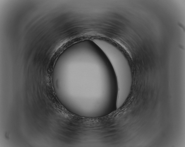 X0000091960823200709061058