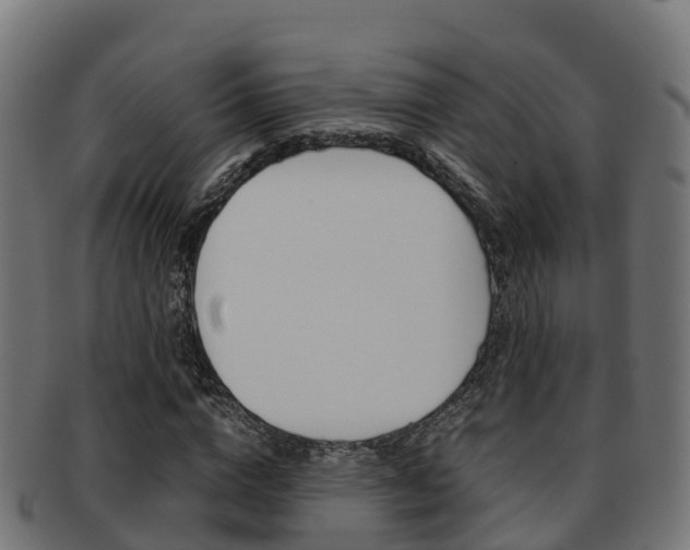 X0000091960824200709061058