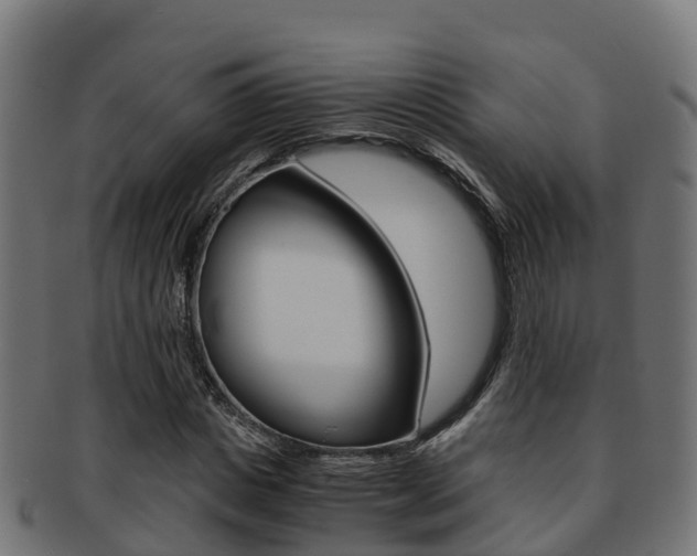 X0000091960825200709061058