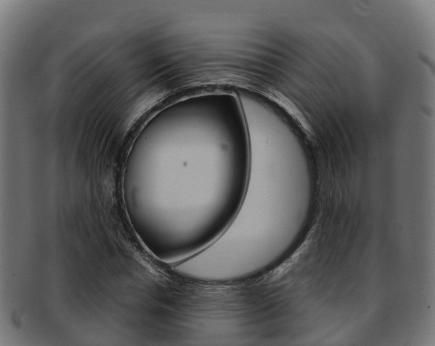 X0000091960826200709061058