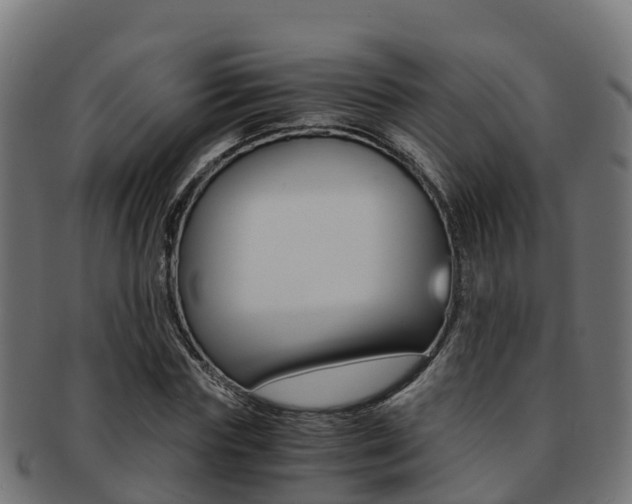 X0000091960827200709061058