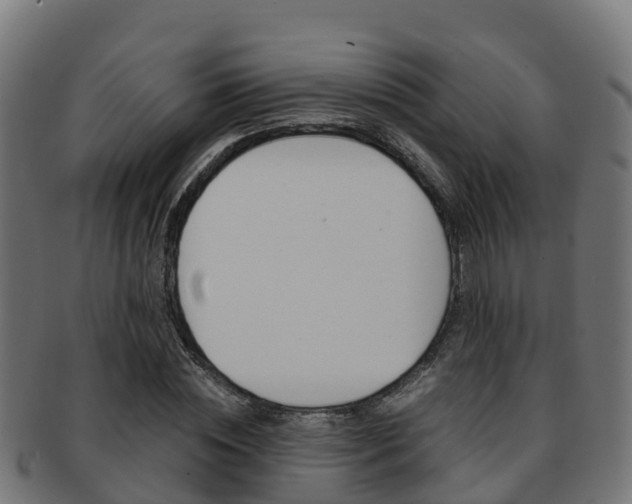 X0000091960828200709061058