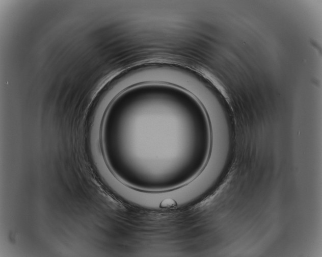 X0000091960829200709061058