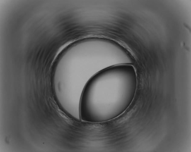 X0000091960830200709061058