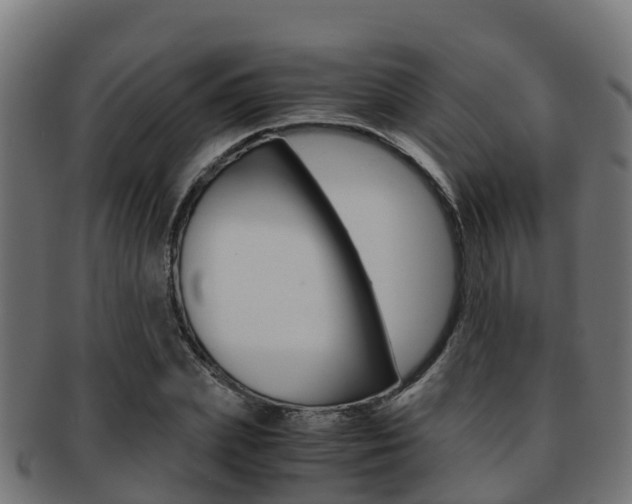X0000091960831200709061058
