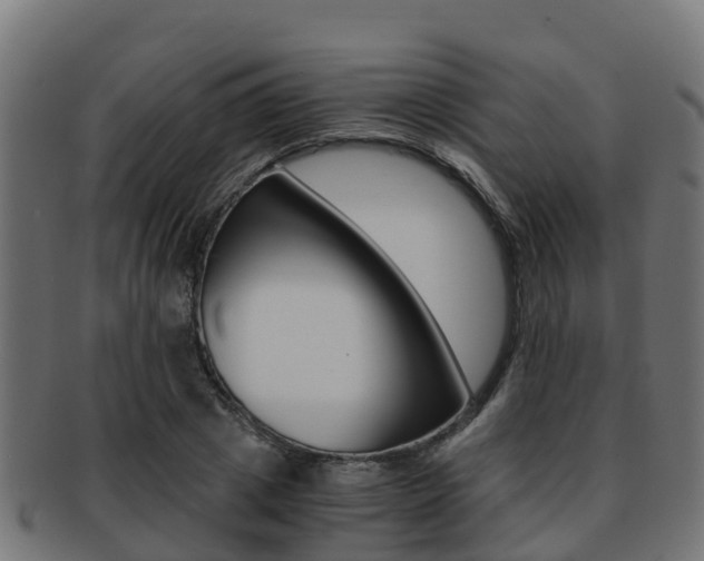 X0000091960833200709061058