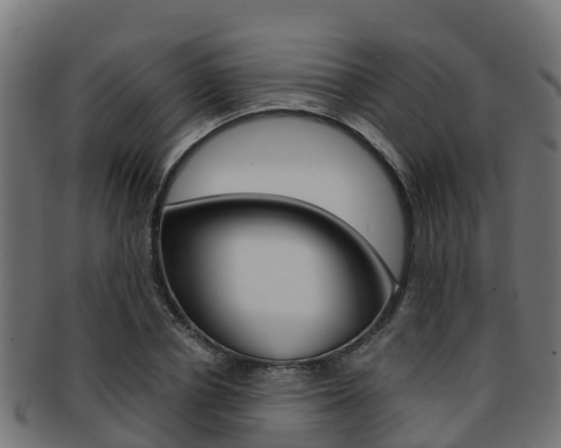 X0000091960834200709061058