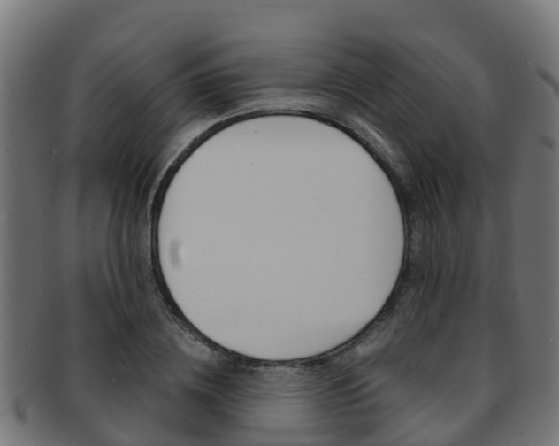 X0000091960836200709061058