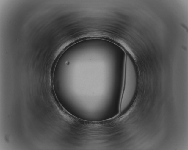 X0000091960837200709061058