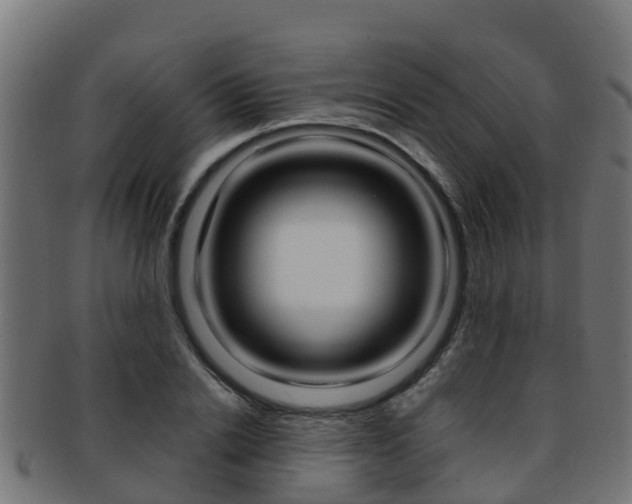 X0000091960838200709061058