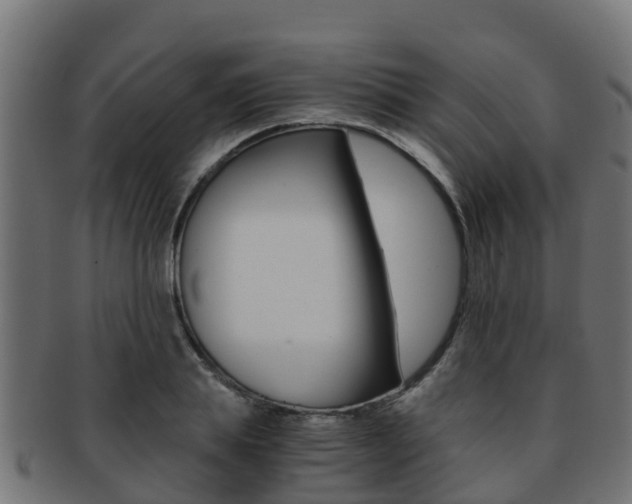 X0000091960839200709061058
