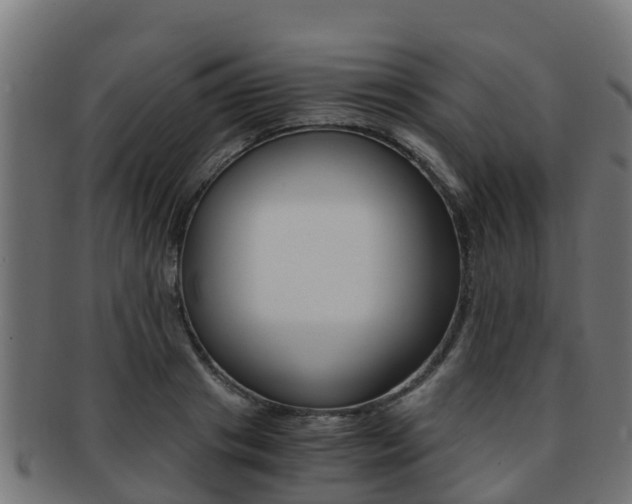 X0000091960841200709061058
