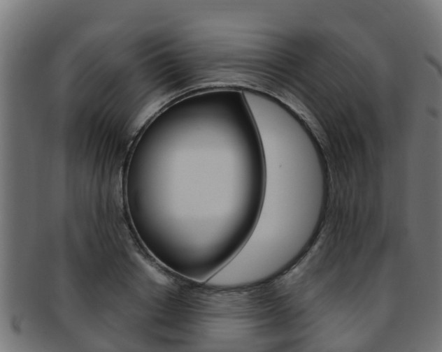 X0000091960842200709061058