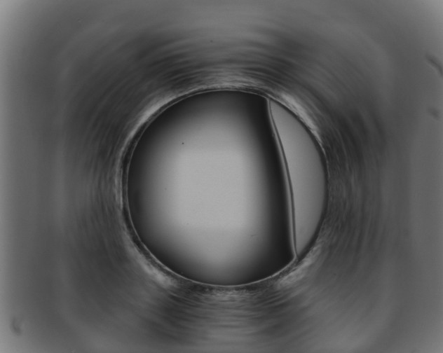 X0000091960843200709061058