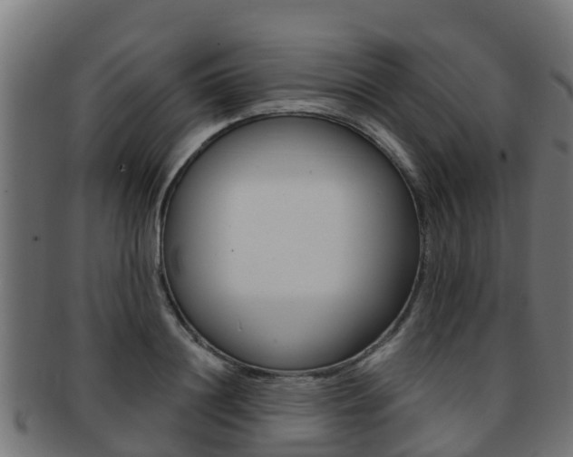 X0000091960844200709061058