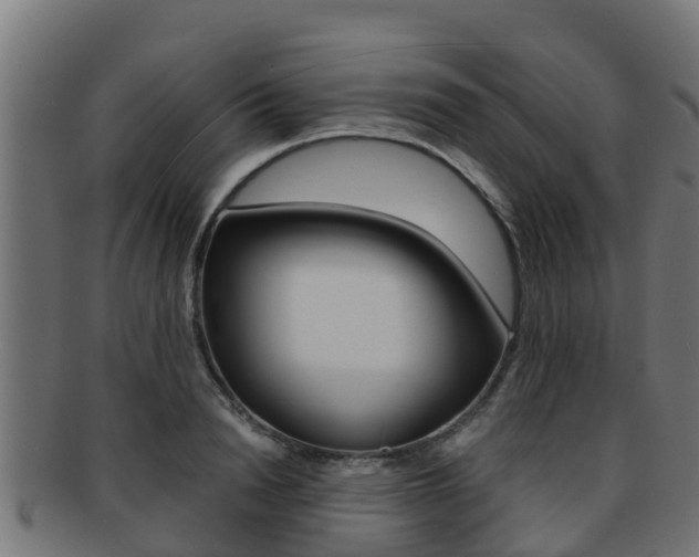 X0000091960846200709061059