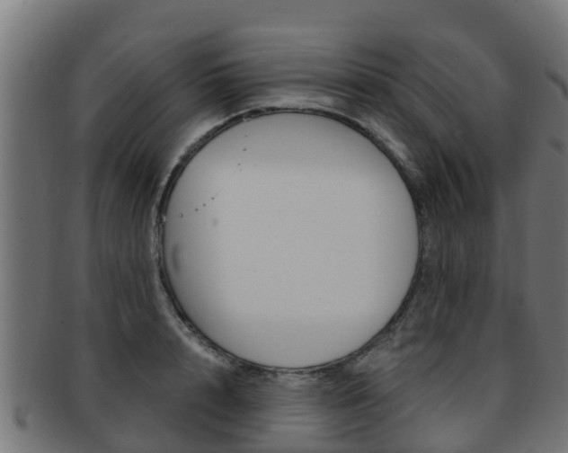 X0000091960848200709061059
