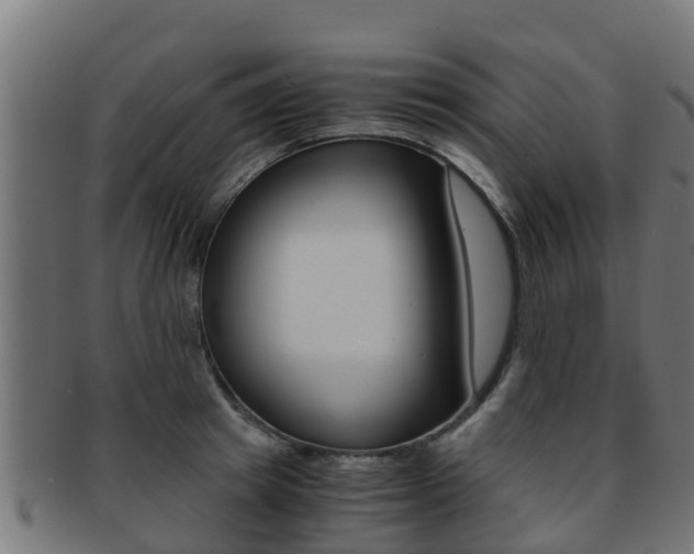 X0000091960849200709061059