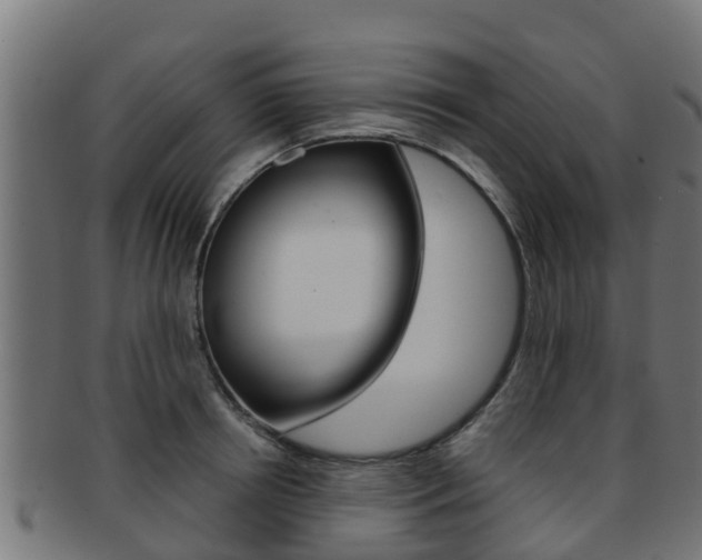 X0000091960850200709061059