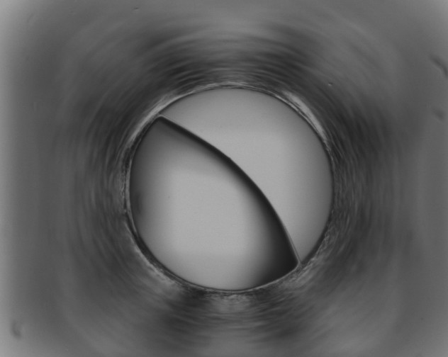 X0000091960851200709061059