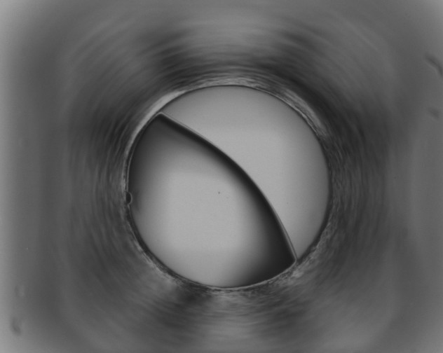 X0000091960852200709061059