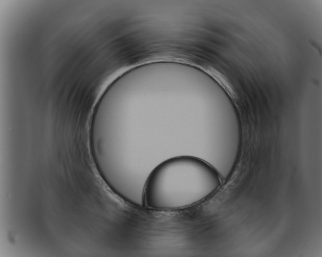 X0000091960854200709061059