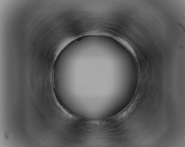X0000091960855200709061059