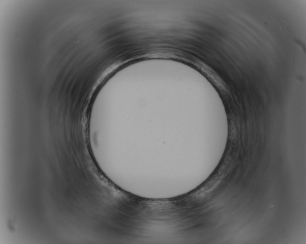 X0000091960856200709061059