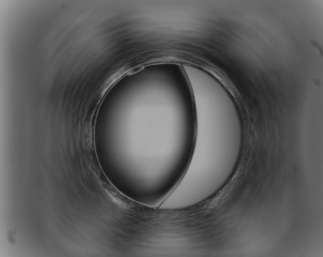 X0000091960858200709061059