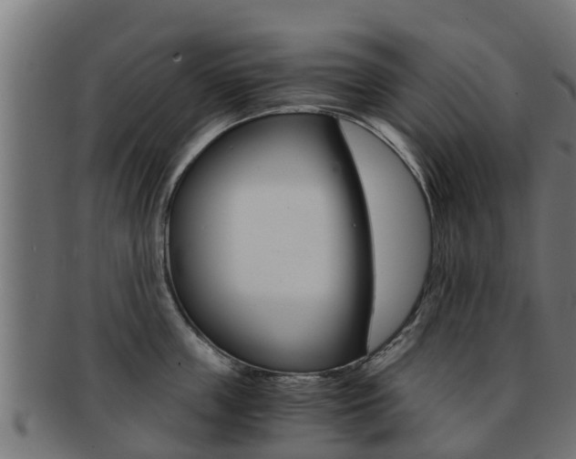 X0000091960859200709061059