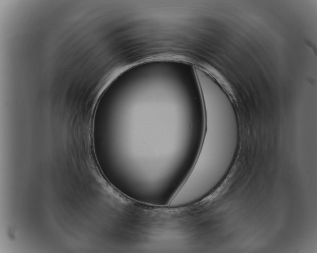X0000091960860200709061059