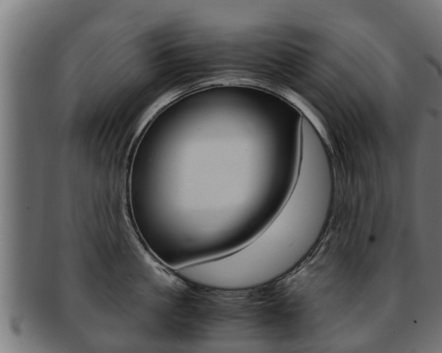 X0000091960861200709061059