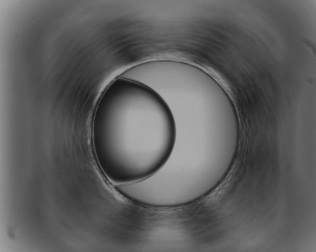 X0000091960862200709061059