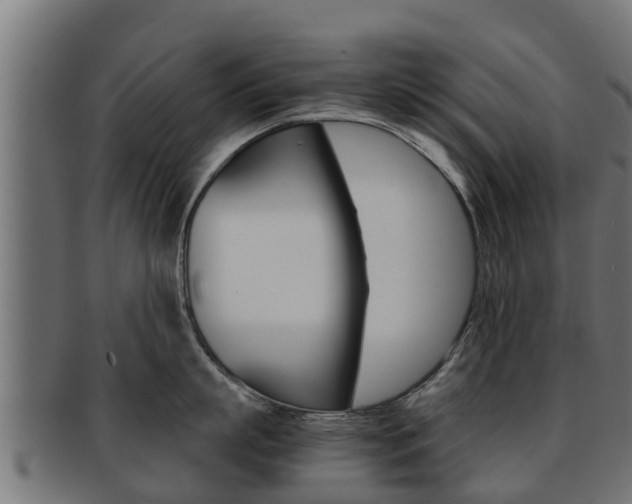 X0000091960863200709061059