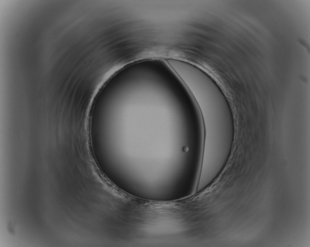 X0000091960864200709061059