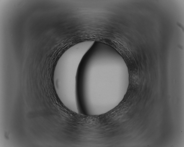X0000091960865200709061058