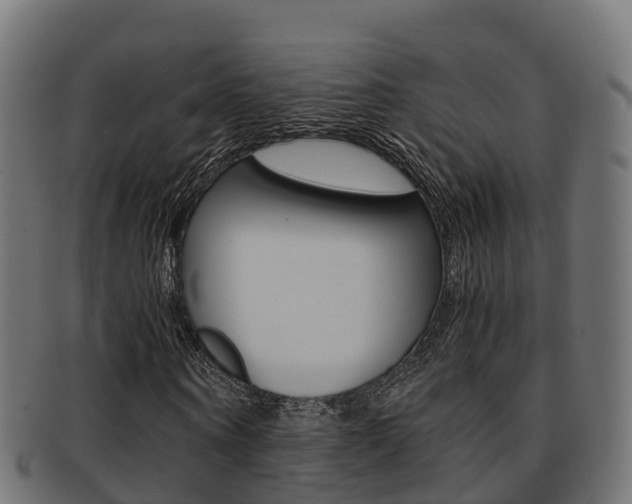 X0000091960866200709061058