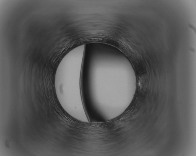 X0000091960867200709061058
