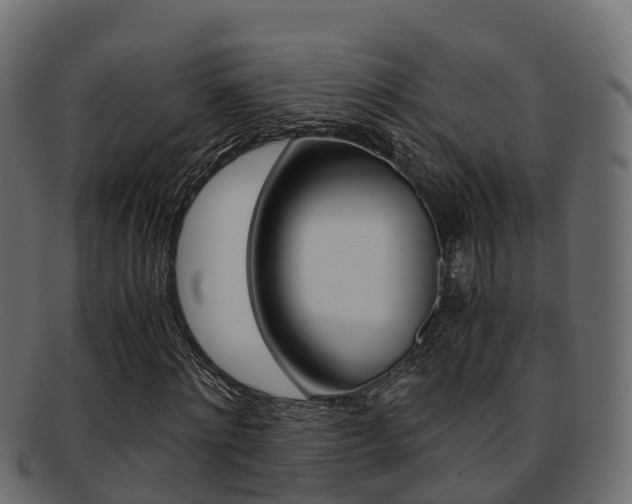X0000091960868200709061058