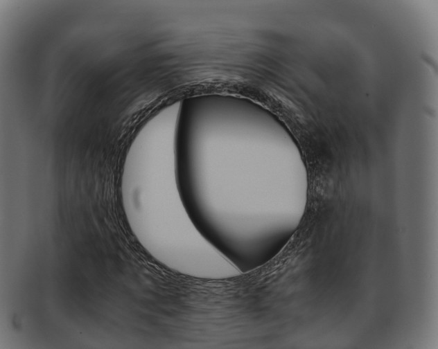 X0000091960869200709061058