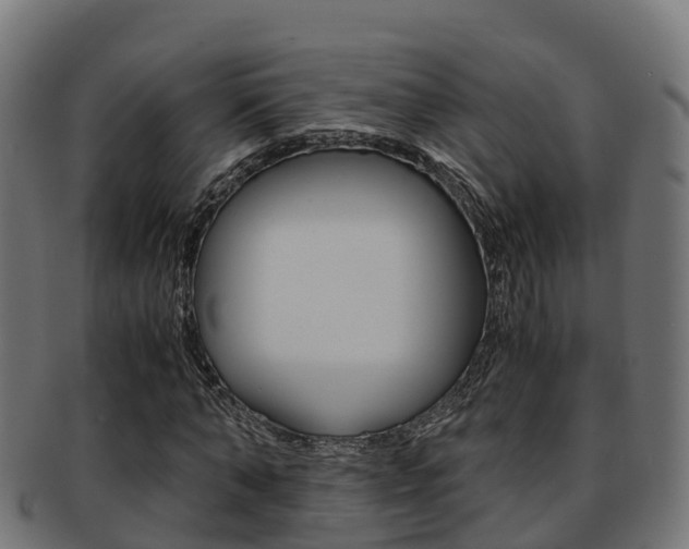 X0000091960870200709061058
