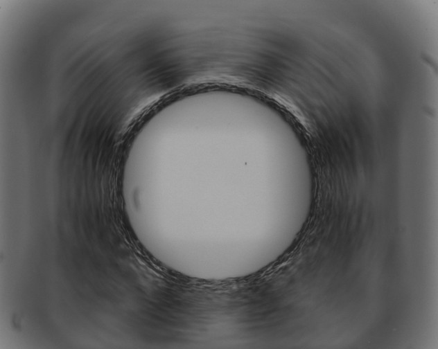 X0000091960872200709061058
