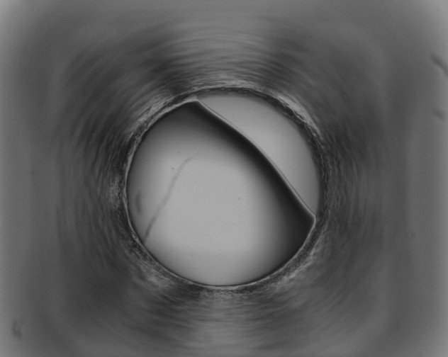 X0000091960873200709061058
