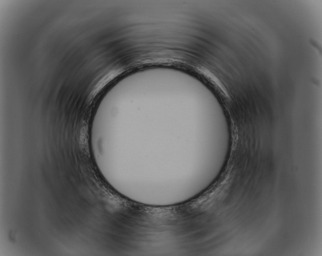 X0000091960874200709061058