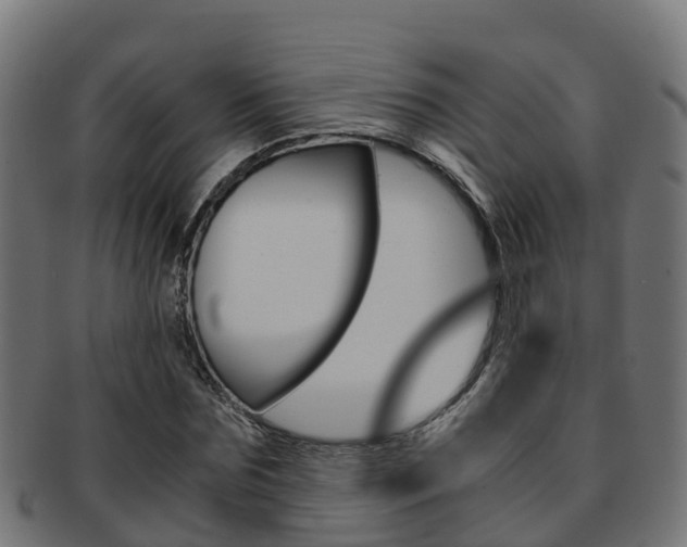 X0000091960875200709061058