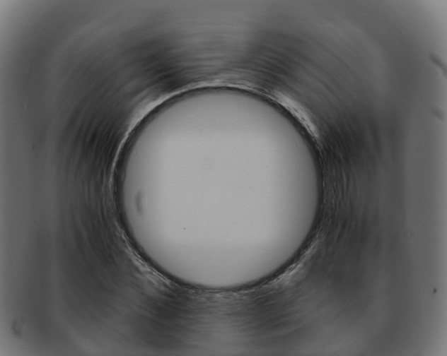 X0000091960876200709061058